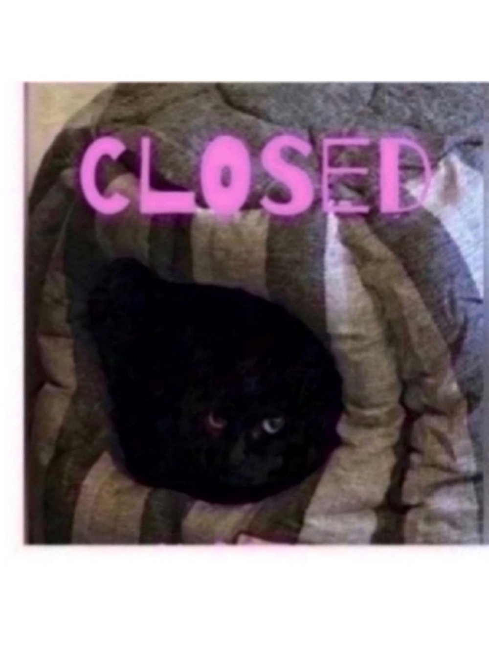 CLOSED 🐈‍⬛Pillows pick 5